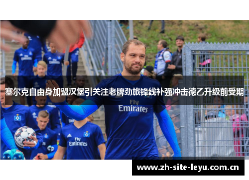塞尔克自由身加盟汉堡引关注老牌劲旅锋线补强冲击德乙升级前受期 塞尔克自由身加盟汉堡引关注老牌劲旅锋线补强冲击德乙升级前受期